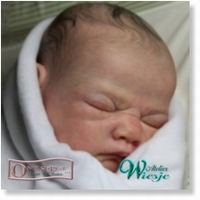 112710 - Dollkit 22 : Annabella  - UITVERKOCHT