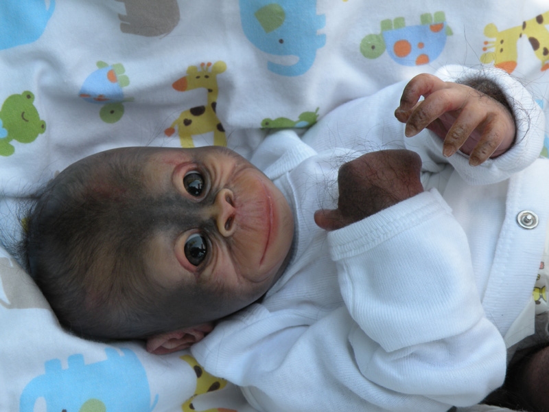 bindi reborn kit