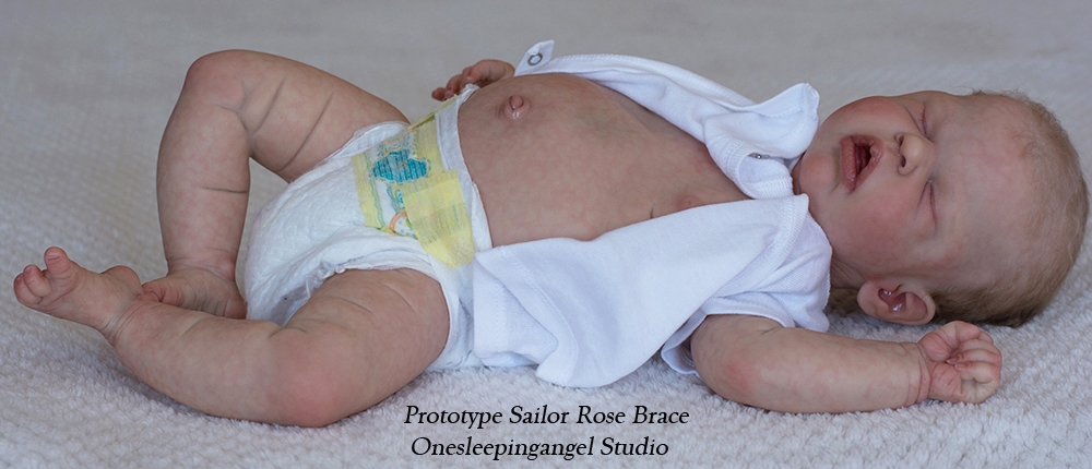 sailor rose reborn kit
