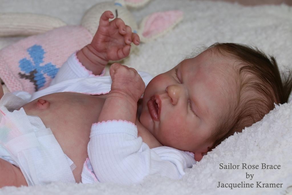 sailor rose reborn kit