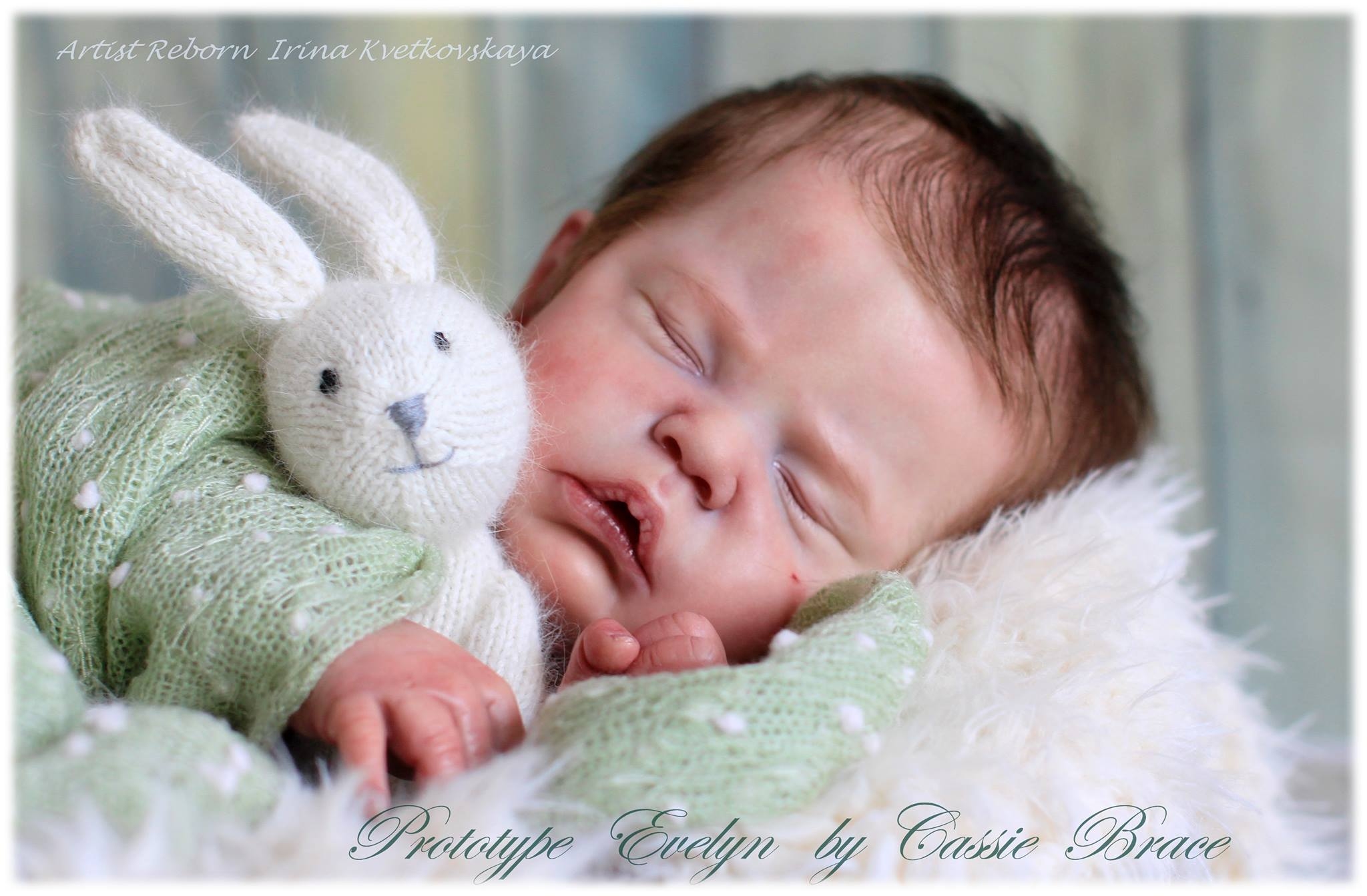 kit reborn evelyn