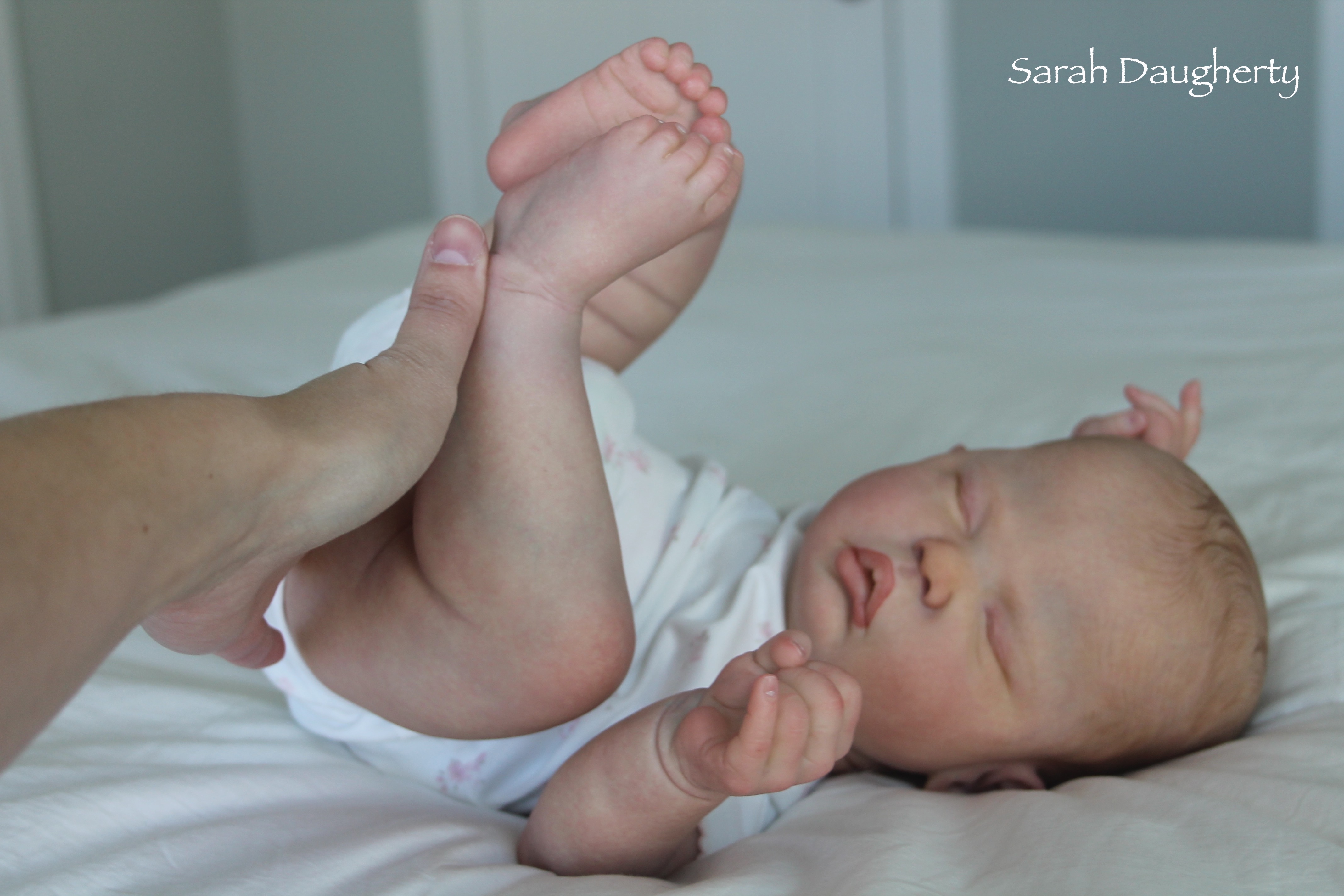 reborn evelyn cassie brace