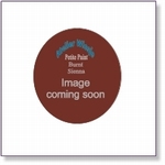 410200 - Paint :  Petite Paint Burnt Sienna - Not available