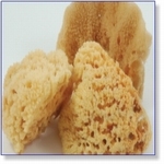 7406A - Paint Supplies :  Natural Sponges 1 pice ca. 6 cm 