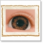 7504 - Eyes :  HQ acryl ogen Tiger Brown 