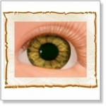 7502 - Eyes :  HQ acryl ogen Hazel 