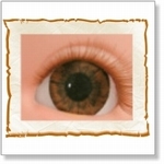 7506 - Eyes :  HQ Acryl Eyes Dark Brown 