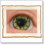 7503 - Eyes :  HQ Acryl Eyes Ocean Green 