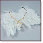 7718B - Accessories : Fairy feather wings 