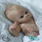 AW380002 - Dollkit 19 - Harry 