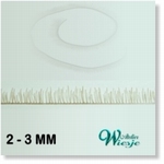 235001 Eyelash : Eyelash  Strip Blond 01 -Soon available