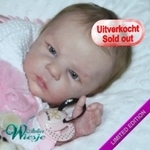 300233 - Dollkit 18 -  Tigerlily  Limited 850 - UITVERKOCHT