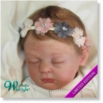 AW300250 - Dollkit 18  - Emalyn Limited 600 st 