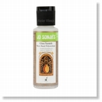 8164A - Paint :   Gloss Varnish Sealer 60 ml -Soon available