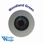 631000 - Eyes : Polyglass Eyes Woodland Green 