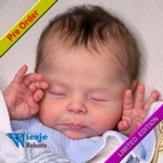300415 - Dollkit 20  - Christopher - LE 